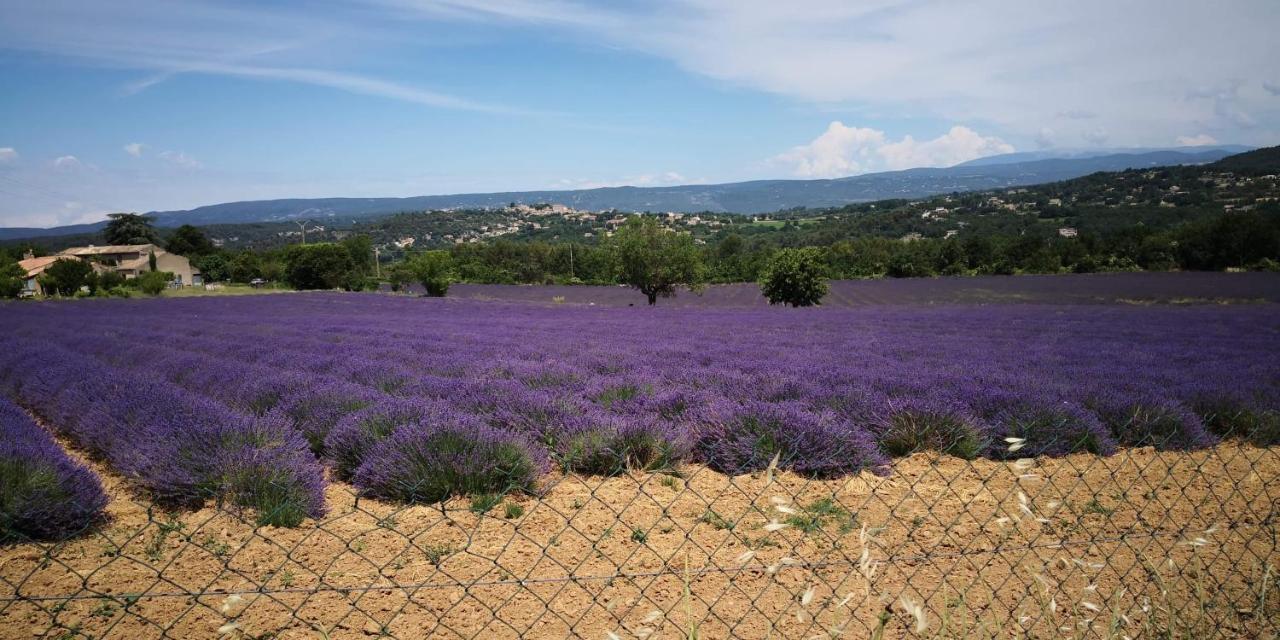 Superbe Au Cœur Du Luberon. Goult